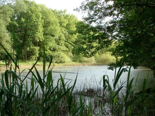 Ferienhaus Bindow Heidesee Luaran gambar